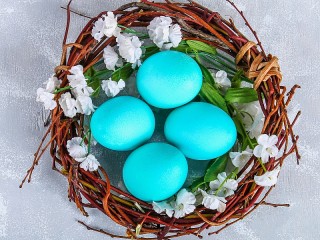 Jigsaw Puzzle «Eggs in the nest»