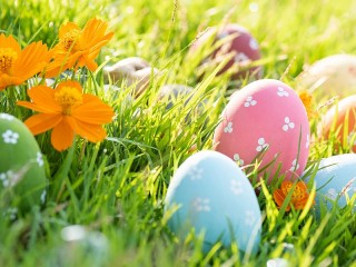 Jigsaw Puzzle «Eggs in the grass»
