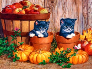 Jigsaw Puzzle «Funny kittens»