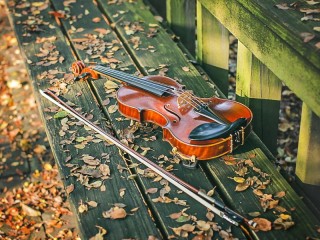 Jigsaw Puzzle «The forgotten violin»