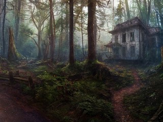 Puzzle «Abandoned house»