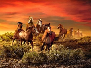 Пазл «Закат и лошади»