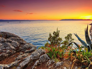 Jigsaw Puzzle «Sunset on the shore»