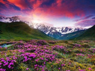 Jigsaw Puzzle «Sunset in mountains»