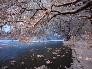 Jigsaw Puzzle «Snowy branch»