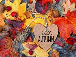 Jigsaw Puzzle «Hello, autumn»