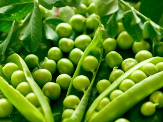 Jigsaw Puzzle «Green pea»