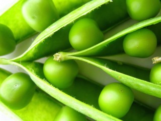 Jigsaw Puzzle «green pea»