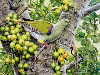 Jigsaw Puzzle «Green dove»