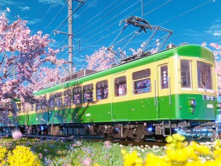 Пазл «Зелёный вагон»