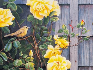 Пазл «Желтые розы и птица»