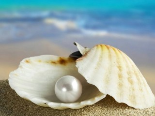 Jigsaw Puzzle «Pearl»
