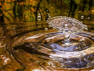 Jigsaw Puzzle «living water»