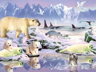 Rompecabezas «Arctic animals»