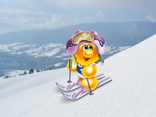 Слагалица «Life of Gelini - skier»