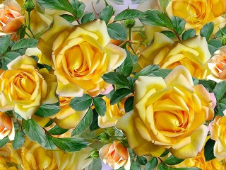 Puzzle «Yellow roses»