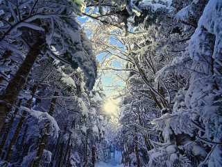 Jigsaw Puzzle «Winter»