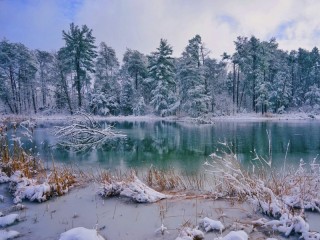 Zagadka «Winter»