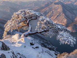 Quebra-cabeça «Winter in South Korea»
