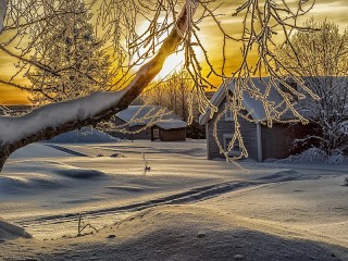 Пазл «Winter sun»