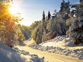 Zagadka «Winter sun»