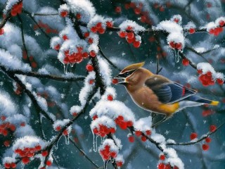 Jigsaw Puzzle «winter berries»