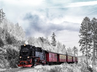 Пазл «Winter train»