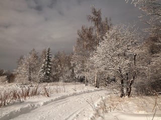 Quebra-cabeça «Winter road»