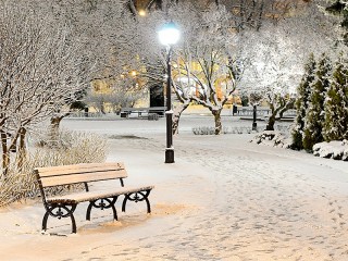 Bulmaca «Winter night»