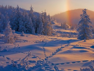 Bulmaca «Winter rainbow»