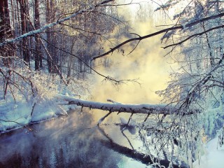 Bulmaca «winter fairy tale»
