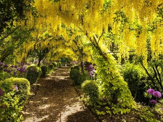 Quebra-cabeça «Golden arch»