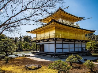 Jigsaw Puzzle «The Golden pagoda»