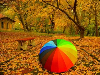 Rompecabezas «rainbow colored umbrella»