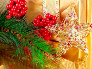 Jigsaw Puzzle «Star for the tree»