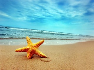 Пазл «Звезда на пляже»