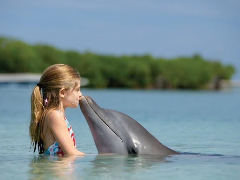 Пазл Девочка и дельфин