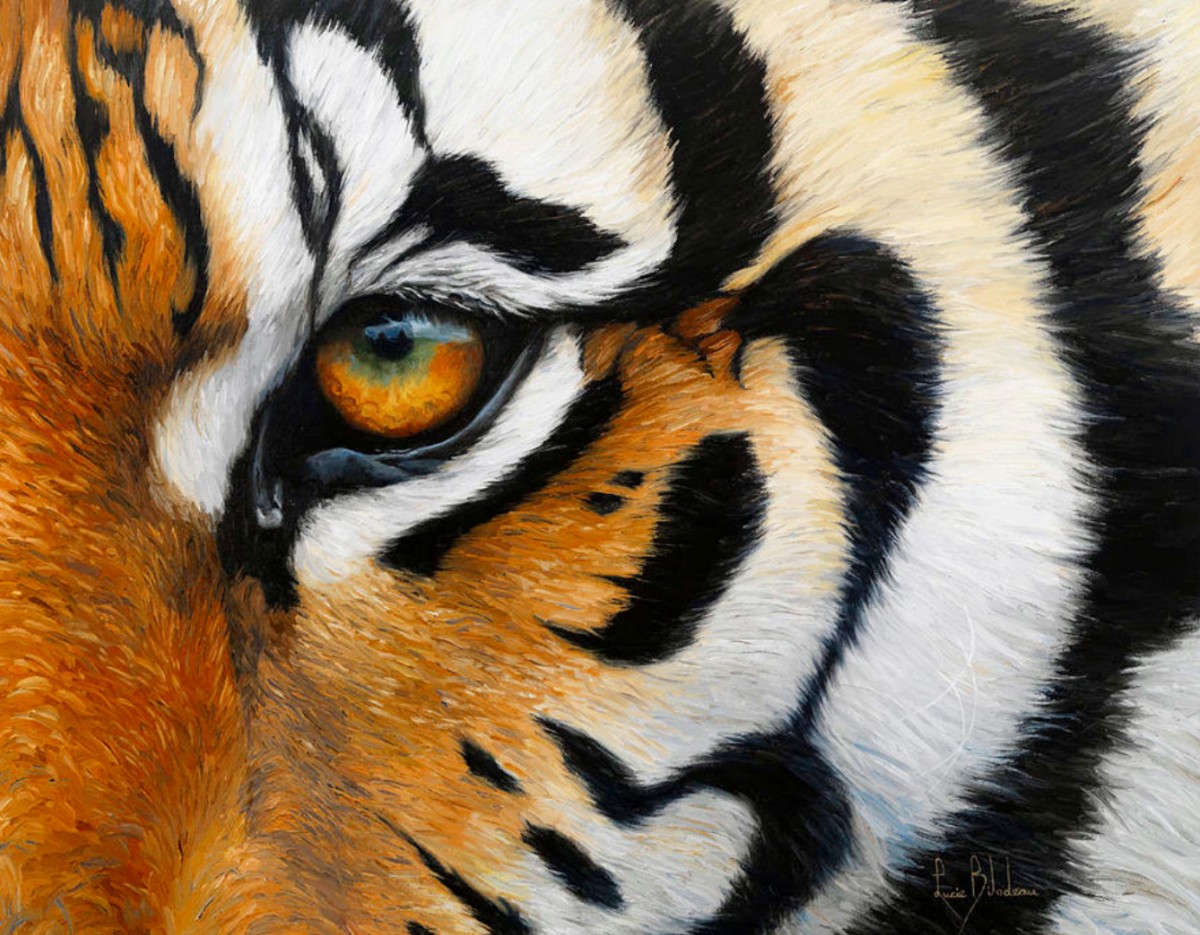 Тигриный глаз - 71 фото