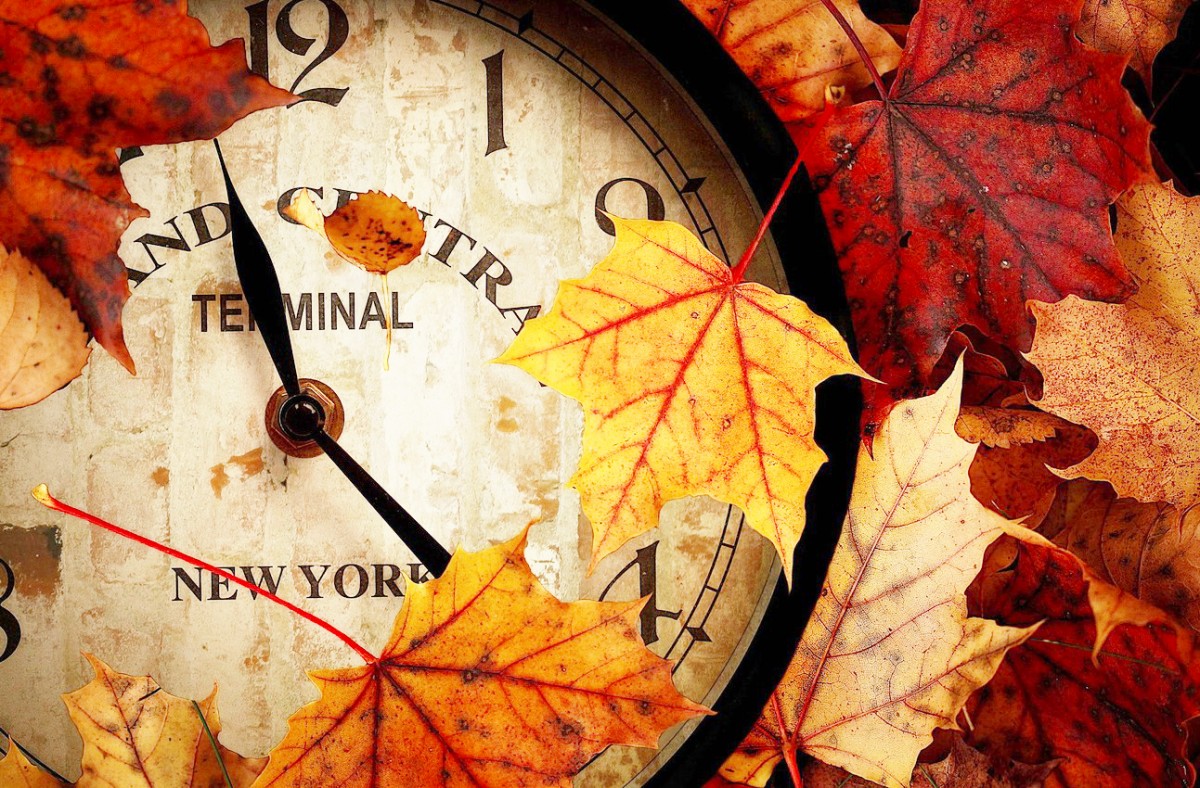 Красивая осень время. Часы осень. Осенние часы на красивом фоне. На часах осень. Осень часы фон.