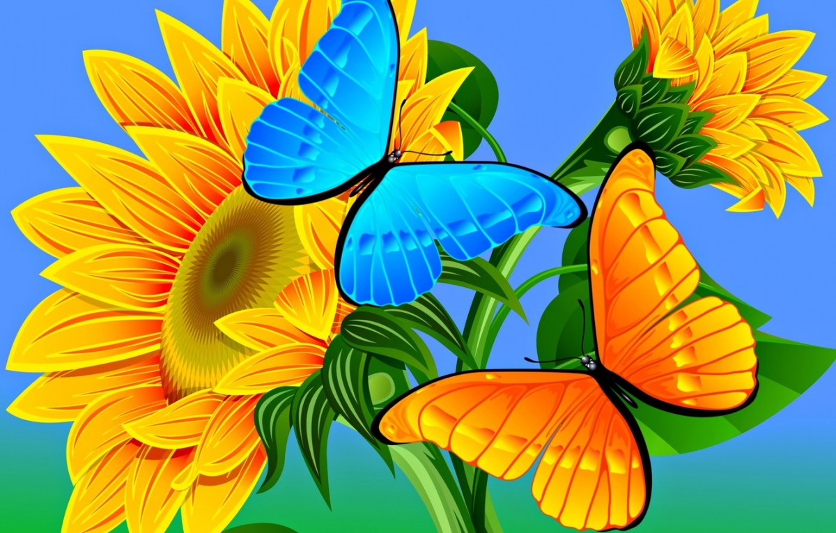 Автоматические теги: #Butterfly #Orange #ClipArt #Plant #MothsAndButterflie...