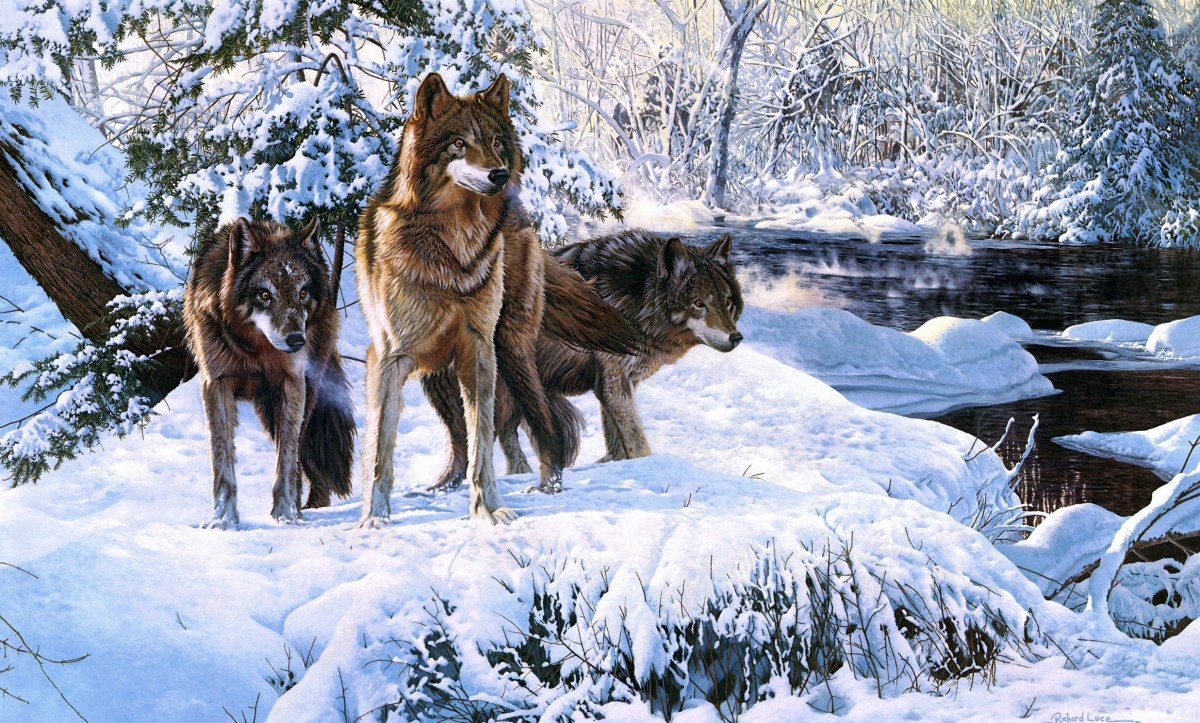 Собирать пазлы онлайн - Три волка