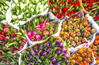 Jigsaw Puzzle  Bouquets of tulips