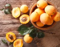 Rompecabezas Apricots