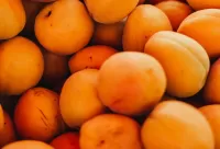 パズル Apricots