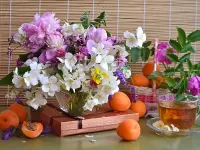 Пазл Абрикосы и цветы