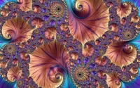 Quebra-cabeça Abstract seashells