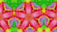 Slagalica Abstract hibiscus