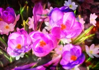 Zagadka watercolor flowers
