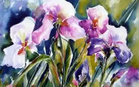 Rompecabezas Watercolor irises