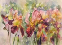 Puzzle Watercolor irises